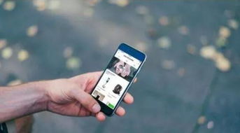 龙熙科技软件开发系统流程