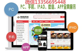 河北三轨制直销系统软件开发定制公司